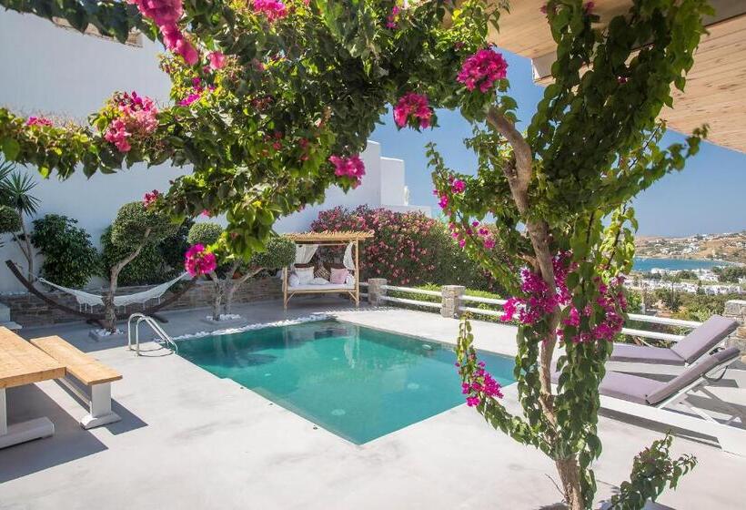 豪华套房, Paros Palace