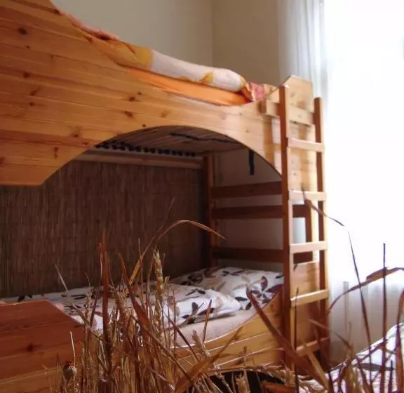 Standard Viiden Hengen Huone, Artharmony Pension & Hostel