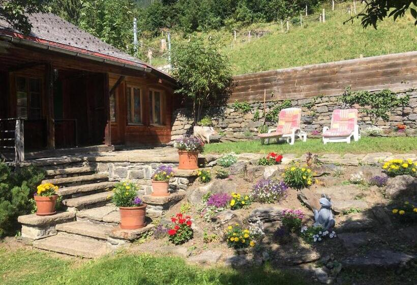 Шале 1 Спальня, Residence Brunner