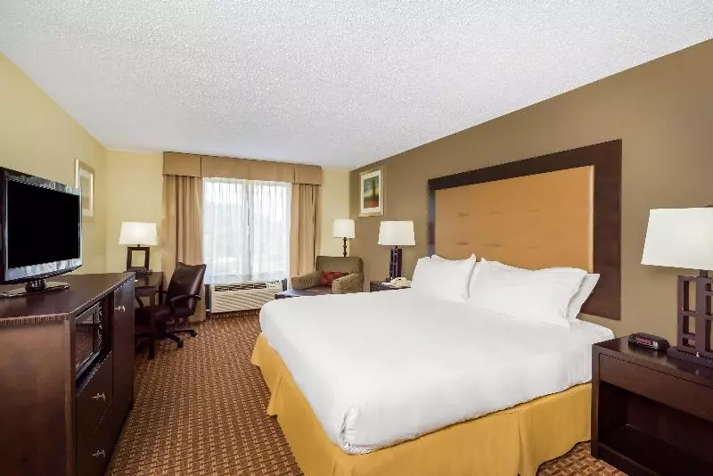 キングサイズベッドのスタンダードルーム, Holiday Inn Express Hotel & Suites North East, An Ihg