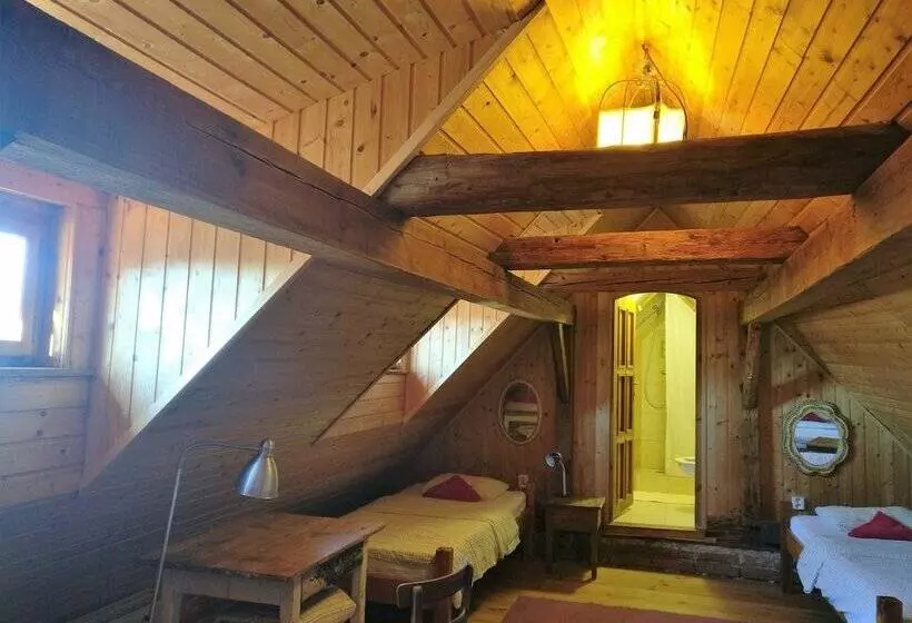 اتاق راحتی سه تخته, Hostel Krumlov House