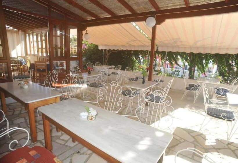 חדר סטנדרט יחיד, Casteli