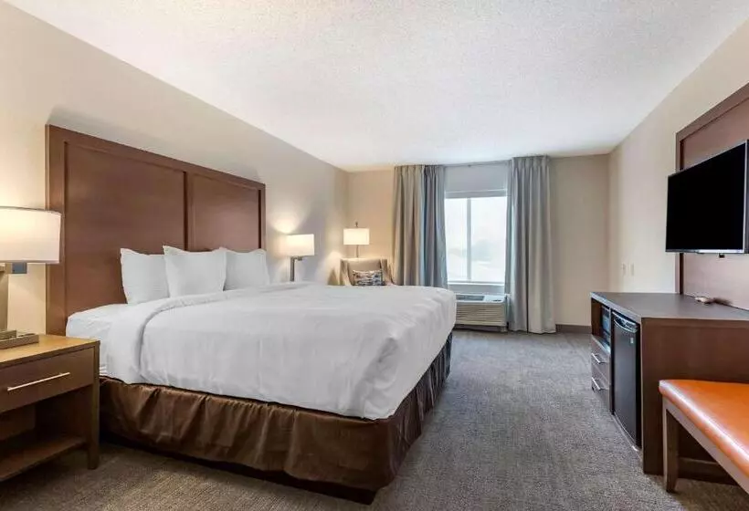 キングサイズベッドのスイートルーム, Comfort Inn & Suites Chestertown