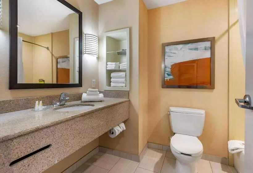キングサイズベッドのスイートルーム, Comfort Inn & Suites Chestertown
