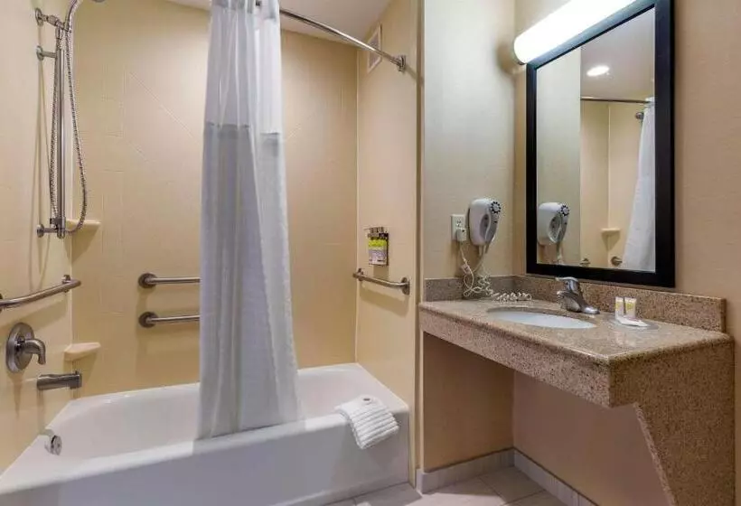 身障者適用キングサイズベッドルーム, Comfort Inn & Suites Chestertown