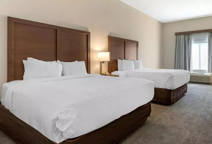 身障者適用スタンダードルーム, Comfort Inn & Suites Chestertown