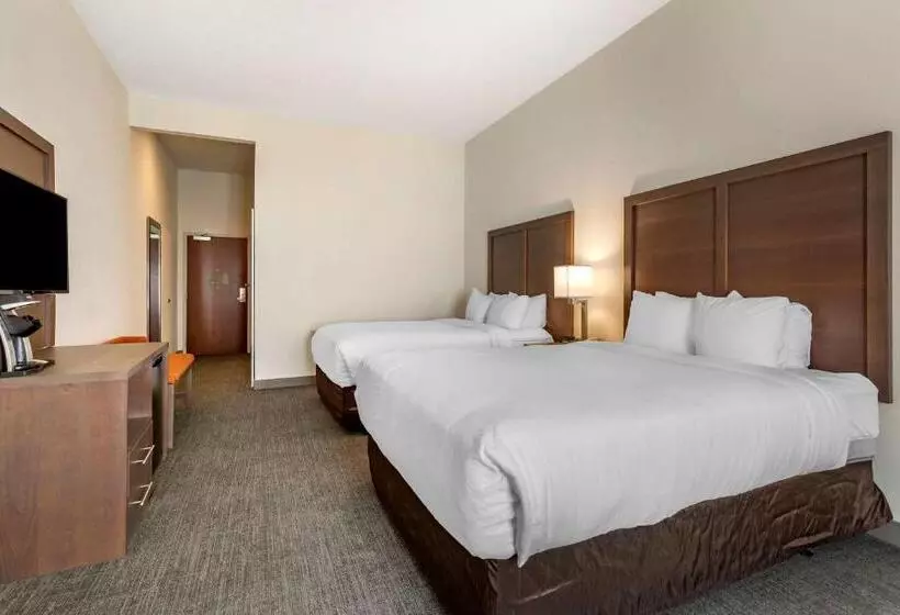 身障者適用スタンダードルーム, Comfort Inn & Suites Chestertown