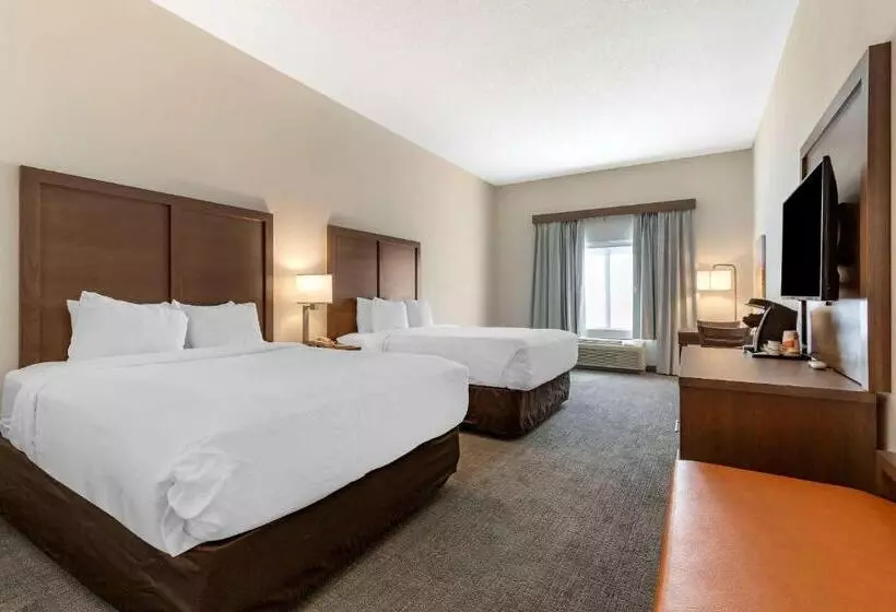 身障者適用スタンダードルーム, Comfort Inn & Suites Chestertown