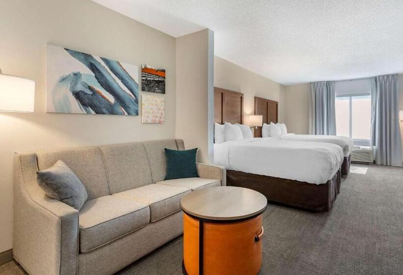 جناح لذوى الاحتياجات الخاصة, Comfort Inn & Suites Chestertown