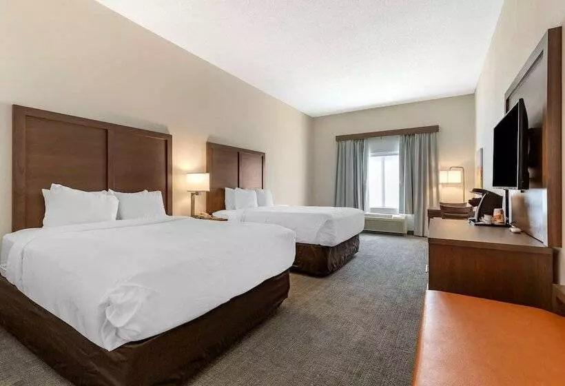 身障者適用スイートルーム, Comfort Inn & Suites Chestertown