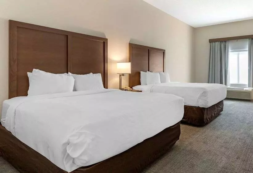 身障者適用スイートルーム, Comfort Inn & Suites Chestertown