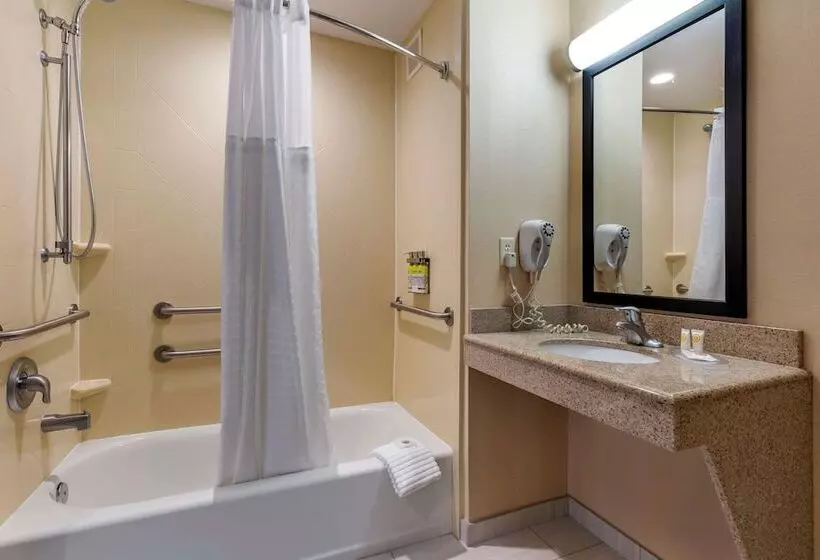 身障者適用スイートルーム, Comfort Inn & Suites Chestertown