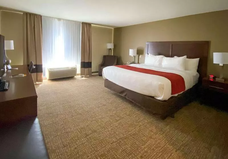 身障者適用キングサイズベッドルーム, Comfort Inn & Suites