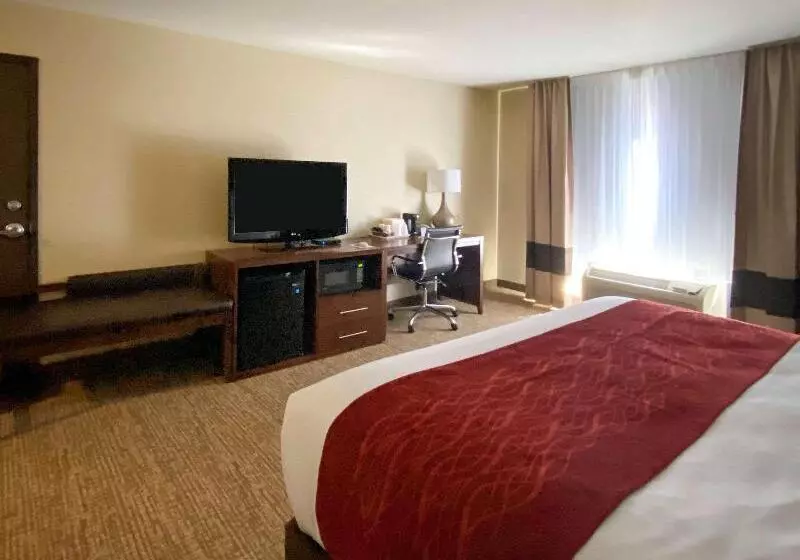 身障者適用キングサイズベッドルーム, Comfort Inn & Suites