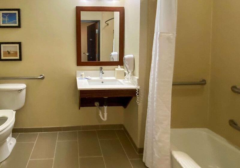 غرفة قياسية سرير كينج لذوى الإحتياجات الخاصة, Comfort Inn & Suites