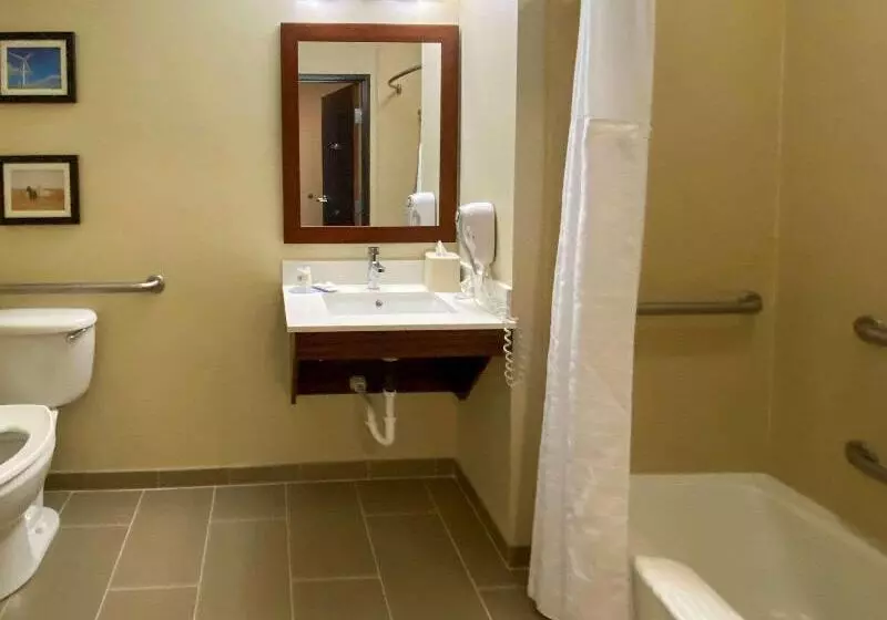 身障者適用キングサイズベッドルーム, Comfort Inn & Suites