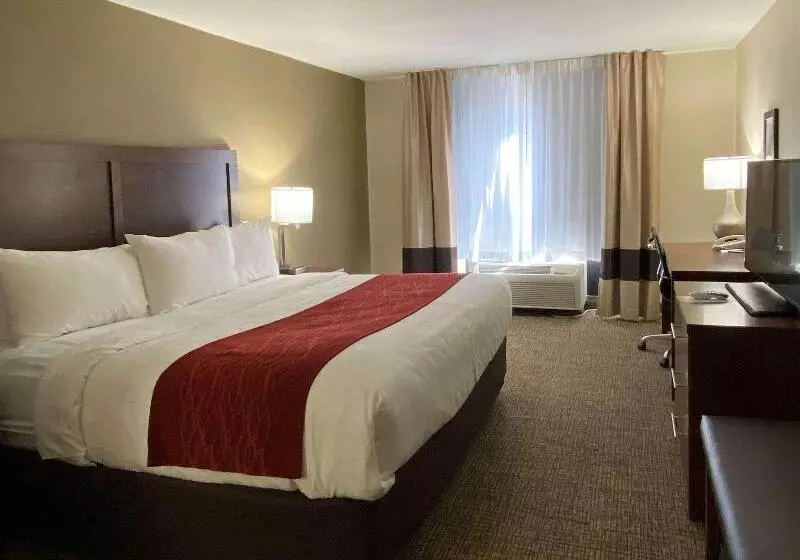スタンダードルーム, Comfort Inn & Suites
