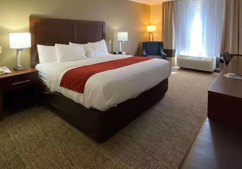 キングサイズベッドのスタンダードルーム, Comfort Inn & Suites