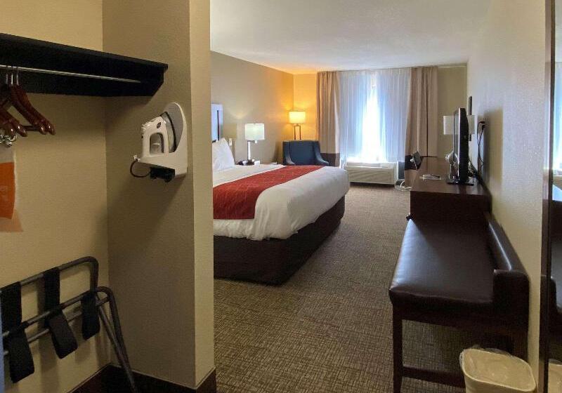 غرفة قياسية سرير كينج, Comfort Inn & Suites