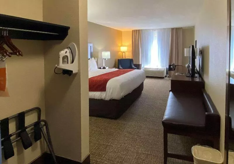 キングサイズベッドのスタンダードルーム, Comfort Inn & Suites