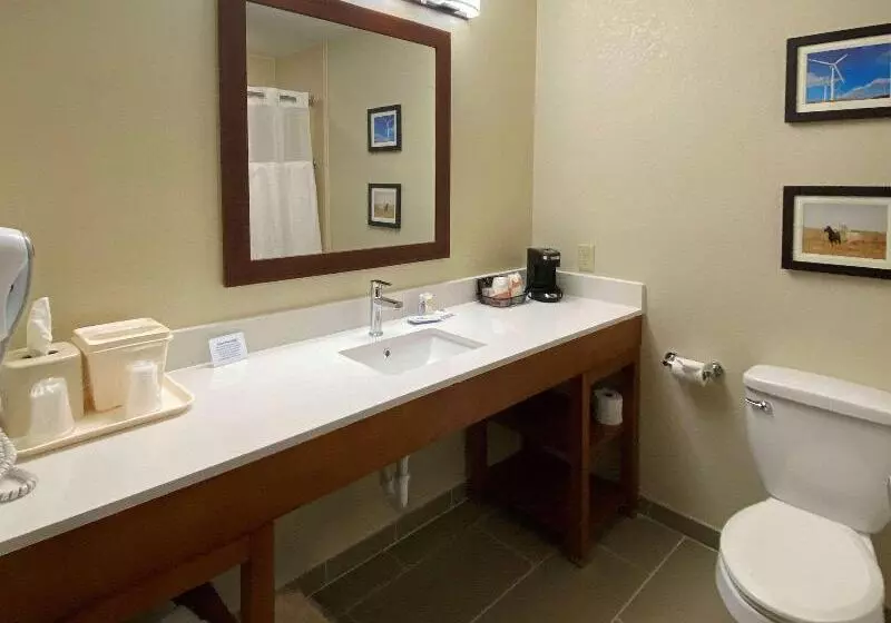 キングサイズベッドのスタンダードルーム, Comfort Inn & Suites