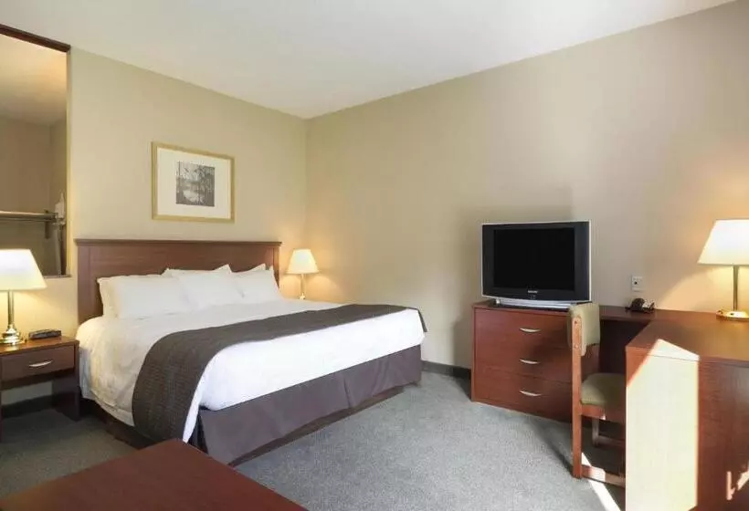 身障者適用キングサイズベッドルーム, Days Inn By Wyndham Thunder Bay North