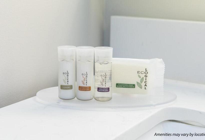 غرفة بيزنس, Days Inn By Wyndham Thunder Bay North