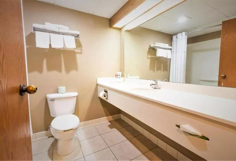 デラックスルーム, Days Inn & Suites By Wyndham Cuba
