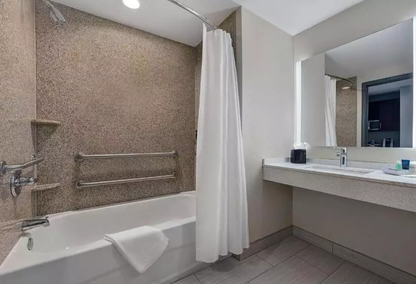 キングサイズベッドのクラシックルーム, Four Points By Sheraton Birmingham Homewood
