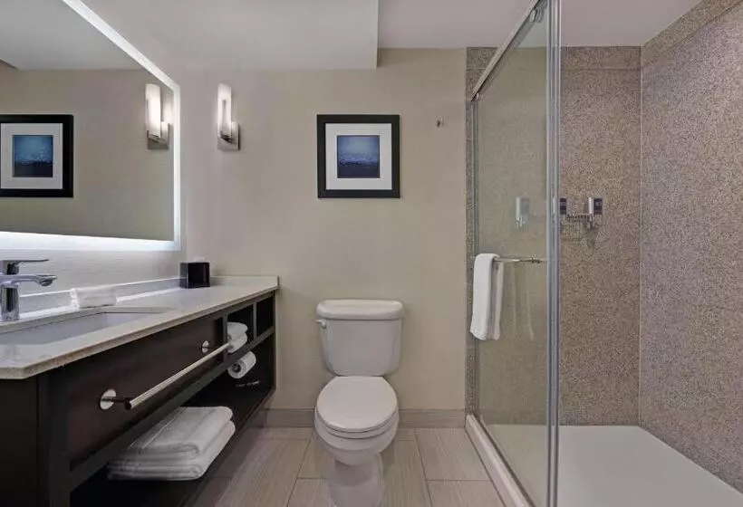 キングサイズベッドのスイートルーム, Four Points By Sheraton Birmingham Homewood