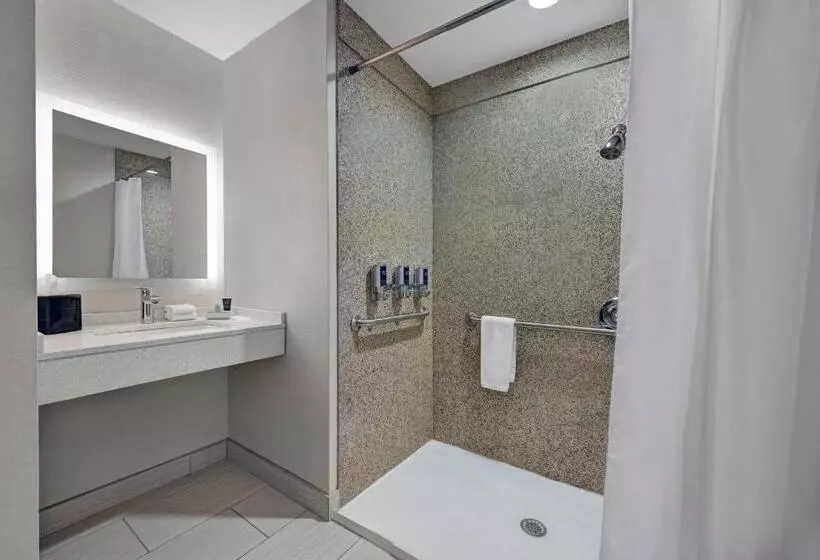 キングサイズベッドのスイートルーム, Four Points By Sheraton Birmingham Homewood