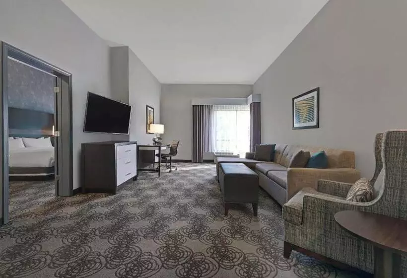 キングサイズベッドのスイートルーム, Four Points By Sheraton Birmingham Homewood