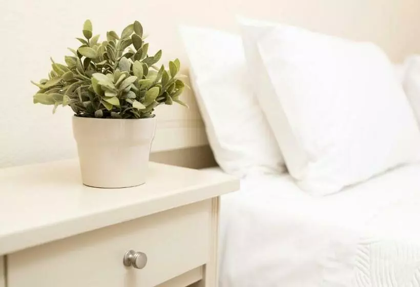 Chambre Standard, Galini