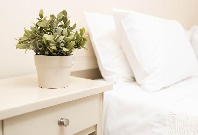 Номер Стандарт, Galini