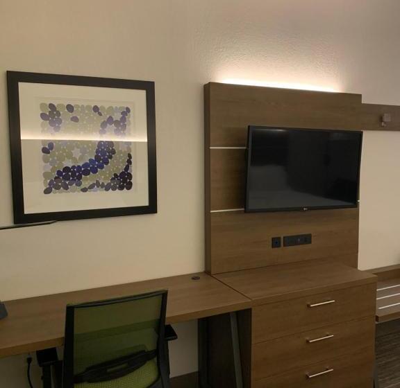 חדר סטנדרט עם מיטת קינג, Holiday Inn Express Hotel & Suites Franklin, An Ihg