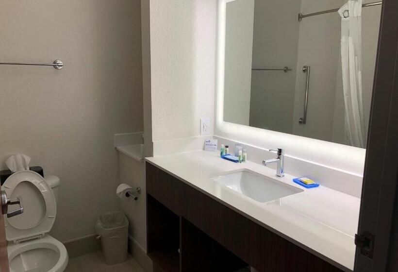 스위트, Holiday Inn Express Hotel & Suites Franklin, An Ihg