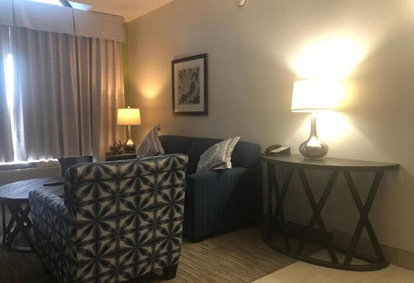 이그제큐티브 스위트, Holiday Inn Express Hotel & Suites Franklin, An Ihg