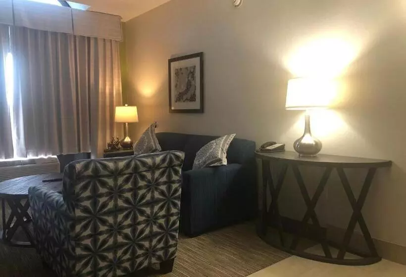 エクゼクティブスイート, Holiday Inn Express Hotel & Suites Franklin, An Ihg
