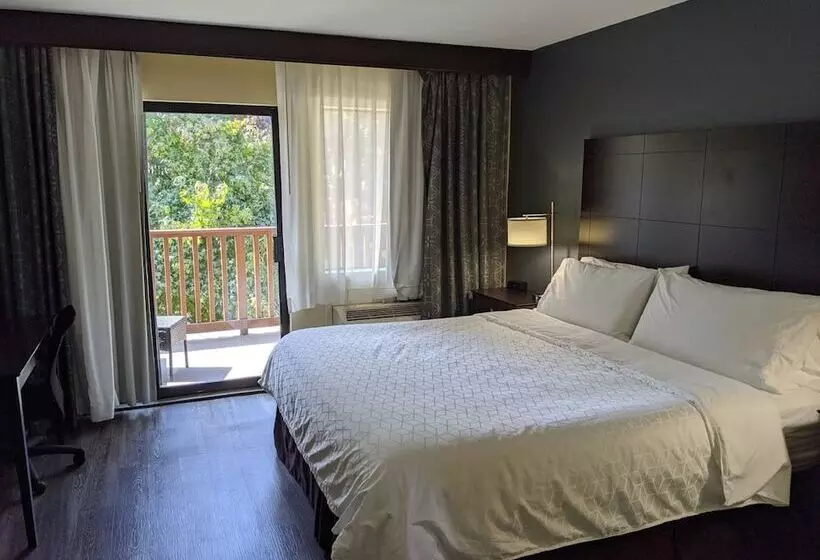 ダブルベッドスタンダードルーム, Holiday Inn Express Hotel & Suites Solana Beach Del Mar, An Ihg