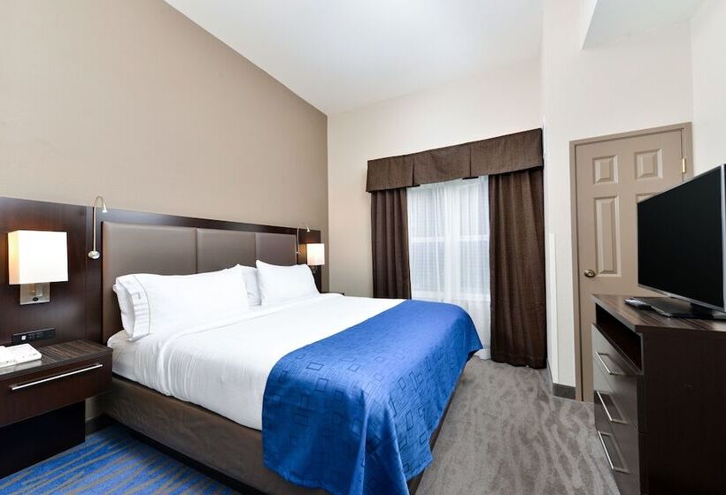 غرفة قياسية, Holiday Inn Express Hotel & Suites St. Louis West O Fallon, An Ihg