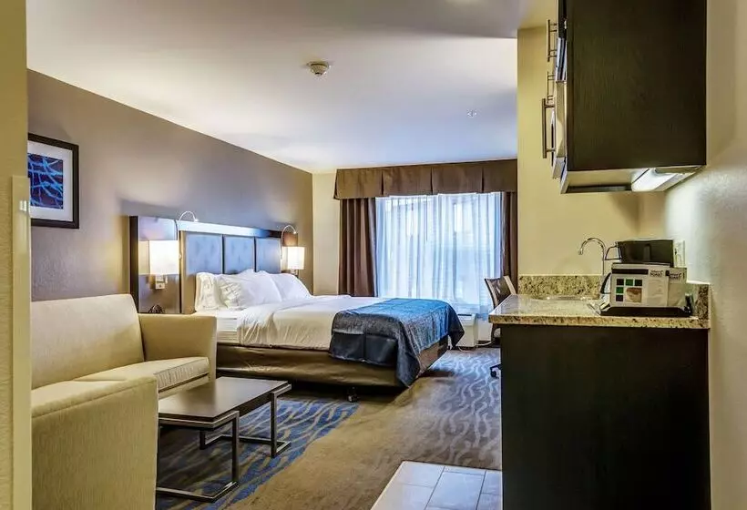 スイート, Holiday Inn Express Hotel & Suites St. Louis West O Fallon, An Ihg