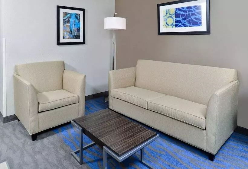 スイート, Holiday Inn Express Hotel & Suites St. Louis West O Fallon, An Ihg