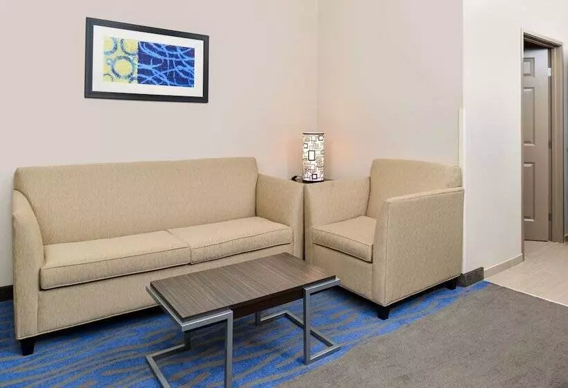 スイート, Holiday Inn Express Hotel & Suites St. Louis West O Fallon, An Ihg