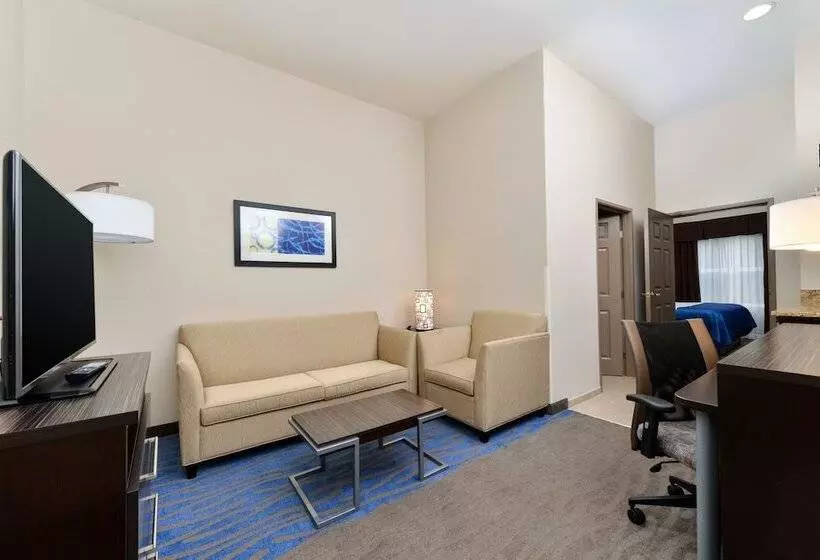 スイート, Holiday Inn Express Hotel & Suites St. Louis West O Fallon, An Ihg