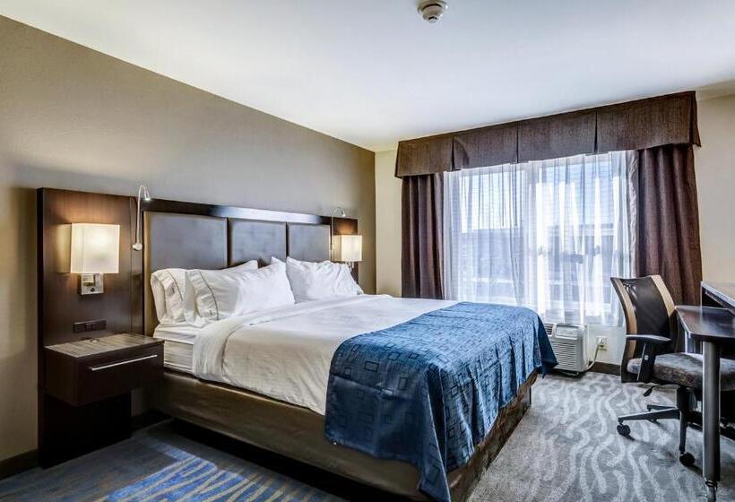 Стандартный Номер Кровать Кинг, Holiday Inn Express Hotel & Suites St. Louis West O Fallon, An Ihg