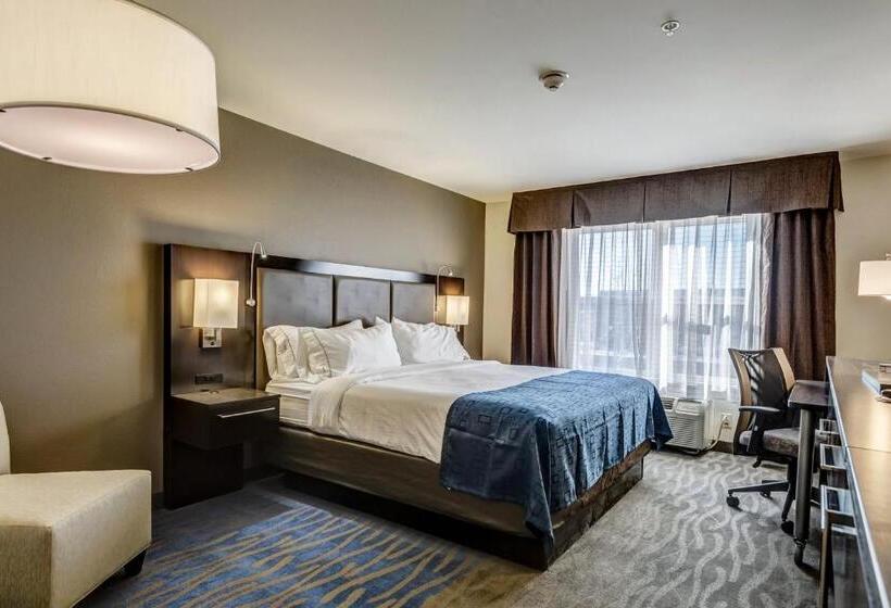 غرفة قياسية سرير كينج, Holiday Inn Express Hotel & Suites St. Louis West O Fallon, An Ihg