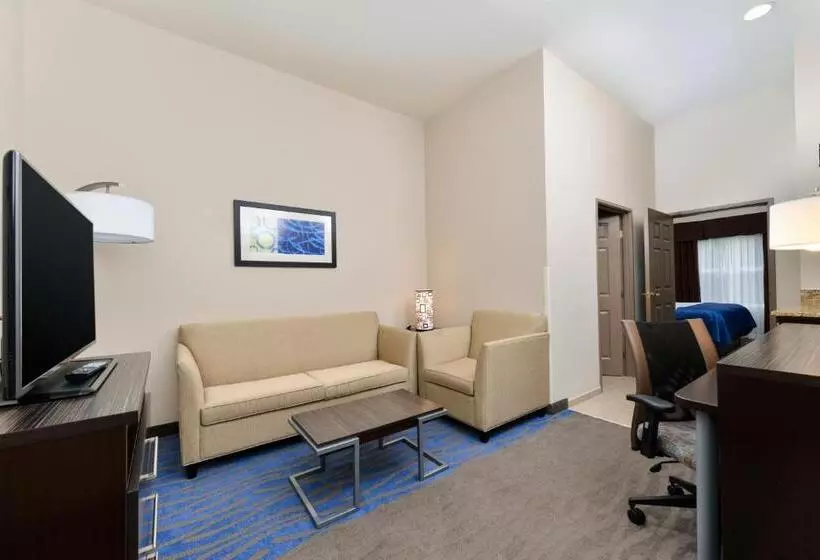 キングサイズベッドのスイートルーム, Holiday Inn Express Hotel & Suites St. Louis West O Fallon, An Ihg
