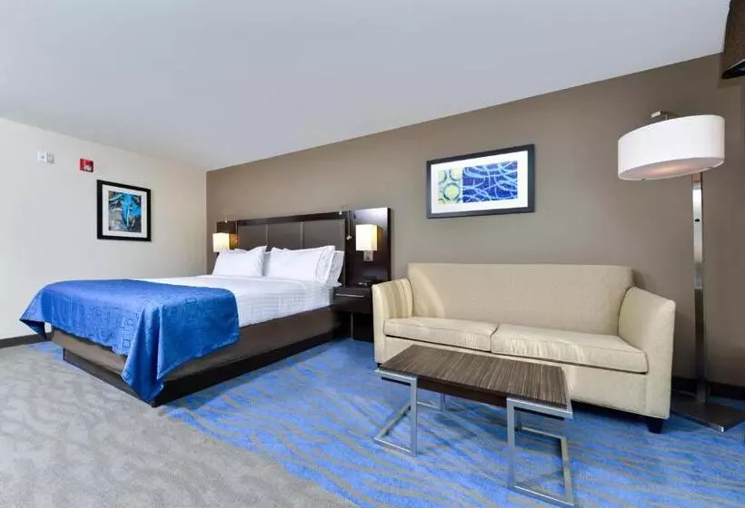身障者適用キングサイズベッドルーム, Holiday Inn Express Hotel & Suites St. Louis West O Fallon, An Ihg