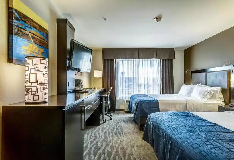 身障者適用スタンダードルーム, Holiday Inn Express Hotel & Suites St. Louis West O Fallon, An Ihg