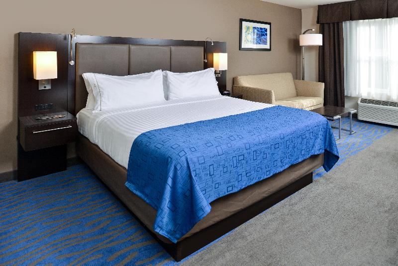 غرفة قياسية سرير كينج, Holiday Inn Express Hotel & Suites St. Louis West O Fallon, An Ihg